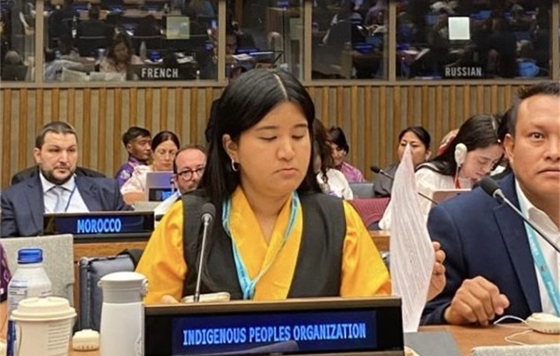 WCS’s Dawa Sherpa at UN Permanent Forum on Indigenous Issues. Photo © Sabnam Lama, Forum for Indigenous Girls